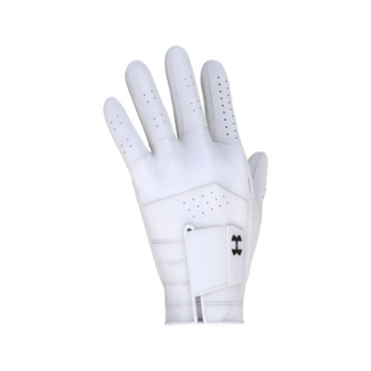 Under Armour Heren Golfhandschoen Iso Chill Wit