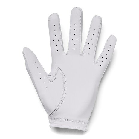 Under Armour Dames Golfhandschoen IsoChill