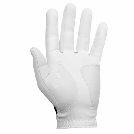 Footjoy Weathersof Handschoen Heren 2024