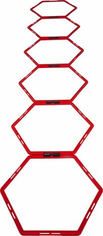 Pure2Improve Hexagon agility grid Loopladder